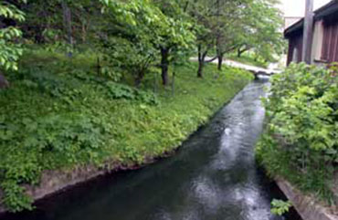 秋田市雄和芝野堰の写真