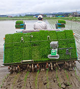 田植機の写真