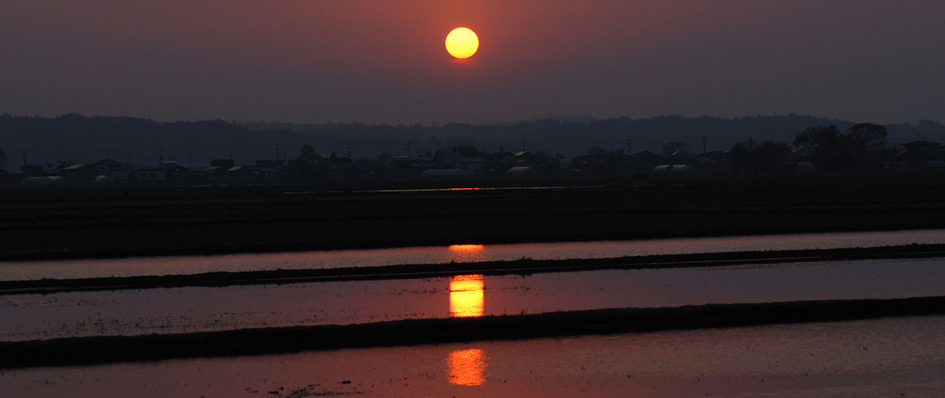 秋田市雄和芝野新田の田んぼにうつる夕陽の写真